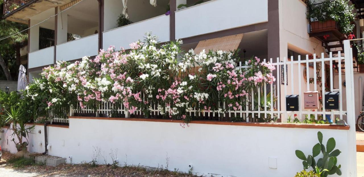 Casa Perciata - Locazione Turistica Apartment Mondello Bagian luar foto